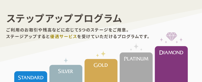 ステップアッププログラム