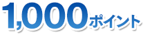 1000ポイント