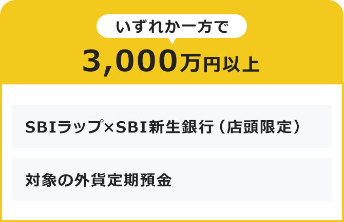 いずれか一方で3,000万円以上・SBIラップ×SBI新生銀行（店頭限定）・対象の外貨定期預金