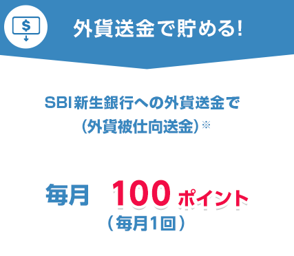 外貨送金でためる!新生銀行への外貨送金で(外貨被仕向送金)毎月 100ポイント(毎月1回)