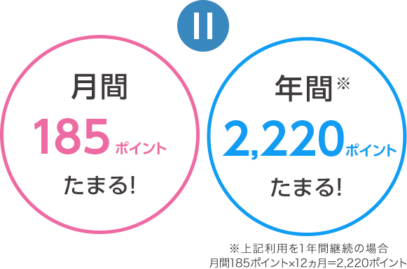 月間185ポイントたまる！ 年間※2,220ポイントたまる！ ※上記利用を1年間継続の場合 月間185ポイント×12ヵ月＝2,220ポイント