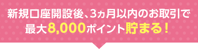 新規口座開設なら例えば3ヵ月間で最大8,000ポイント貯まる!