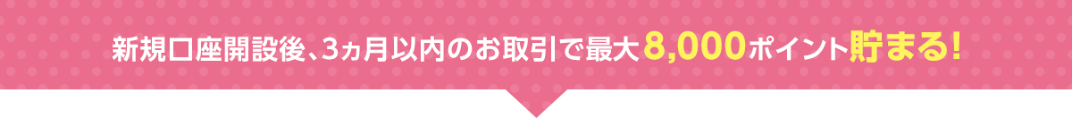 新規口座開設後、3ヵ月以内のお取引で最大8,000ポイント貯まる!