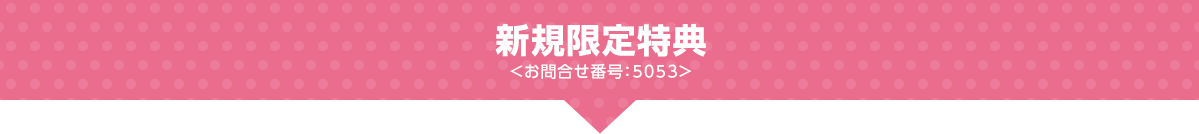新規限定特典<お問合せ番号:5053>