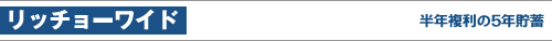 リッチョーワイド 半年複利の5年貯蓄