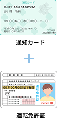 通知カード＋運転免許証